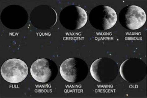 1⁄2 days, it is common for the months of a lunar calendar to alternate between 29 and 30 days. Moon Phases ― Contemplating the 13 Month Calendar - Seeker ...