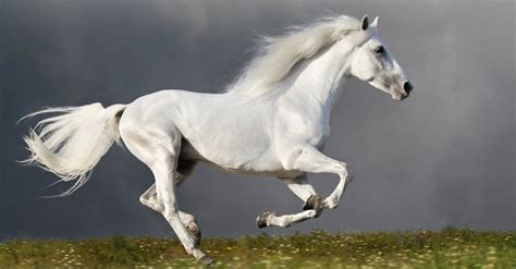 The song was released as the album's third single in february 2006 to positive reviews from music critics. What Are the Four Horsemen of the Apocalypse? - Topical ...