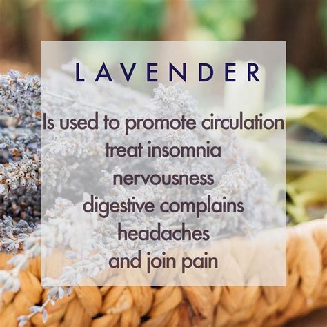 Or add 1 teaspoon to a filled sink or container to soak hands or feet to reduce inflammation and relieve pain. Popular ways to enjoy lavender oil include placing a few ...