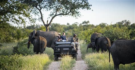 Kruger National Park Luxe Rondreis Big 5 Safari Oryx Travel