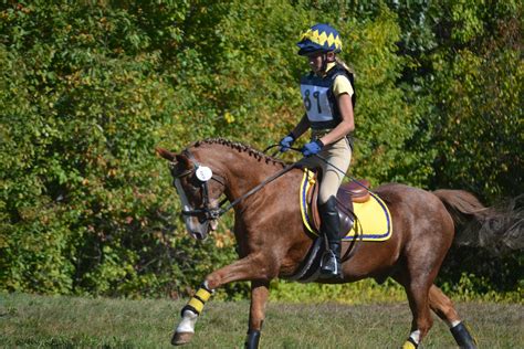 Hunters Haven Farm — Gallery