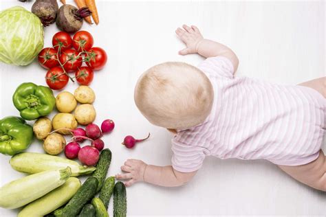 Deshalb wird empfohlen herkömmliche milchprodukte wie joghurt und quark erst nach dem ersten geburtstag in den speiseplan aufzunehmen. Ab wann dürfen Babys Kartoffeln essen? | Babyled Weaning
