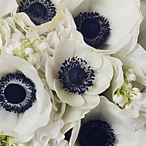 Nautical Wedding Ideas Part 1 Beautiful Flowers Wedding Flowers