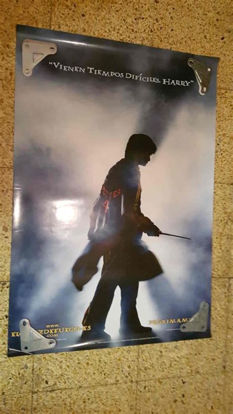 Poster De Cine Harry Potter Y El Caliz De Fuego Con Daniel Radcliffe