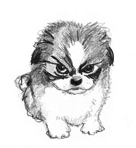 Pencil Sketch Cute Dog Easy Drawing Go Images Cafe