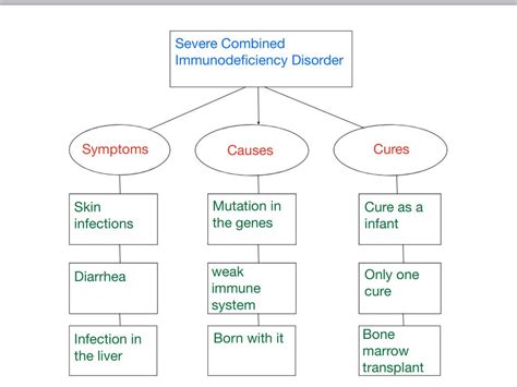 Severe Combined Immunodeficiency Disorder By Jillian