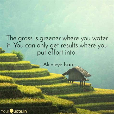 The Grass Is Greener Where You Water It Quote Top 22 Grass Is Greener