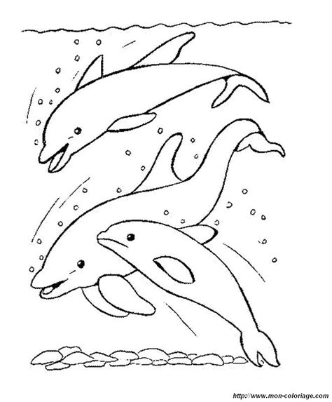 Coloriage De Dauphins Dessin Trois Dauphins Sous La Mer à Colorier