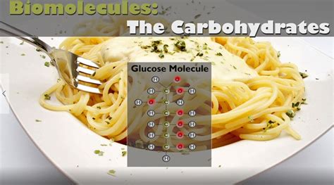 Biomolecules The Carbohydrates Video Wisc Online Oer