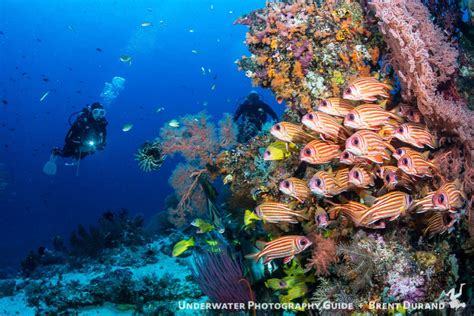 Epic Photo Destinations Raja Ampat Underwater Photography Guide