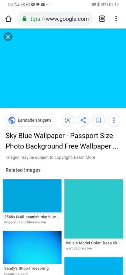 ✓ free for commercial use ✓ high quality images. Biru Latar Belakang Background Gambar Passport