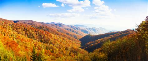12 Best Places To See Fall Foliage In Tennessee Follow Me Away