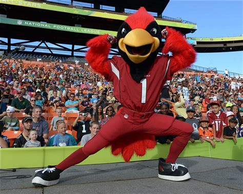 Choose from several designs in arizona cardinals tees and shirts from fansedge.com. Arizona Cardinals: When Was The Last Time...