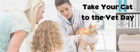Take Your Cat To The Vet Day