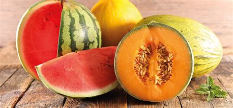 Melone Sorten Und Lagerung Maggide