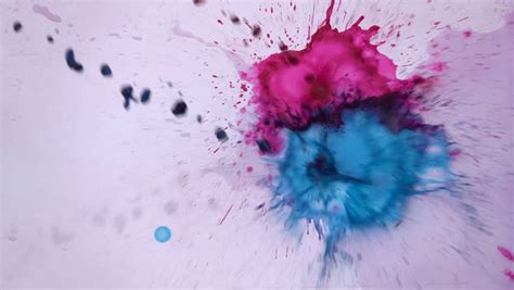 We did not find results for: Color Splash Pink and Blue Stock Footage Video (100% ...