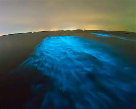 Bioluminescent Bay Puerto Rico 3 Brightest Spots To See Snorkel And