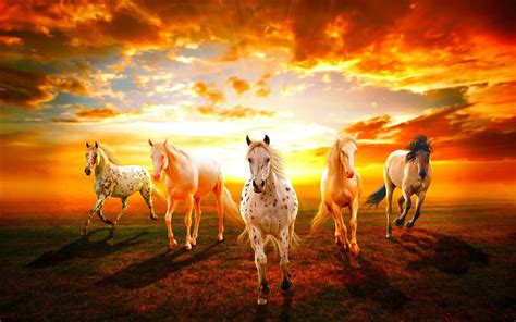 Download Wild Horses By Dgoodwin Wild Horse Wallpaper Background