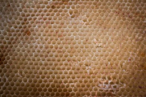 Volné pro komerční užití ✓ není nutné uvádět zdroj ✓. Oslava Dne otců / VIDA! science centrum