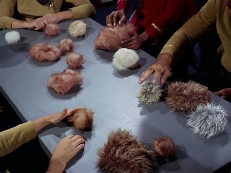 The Trouble With Tribbles Tribbles Image 18280358 Fanpop
