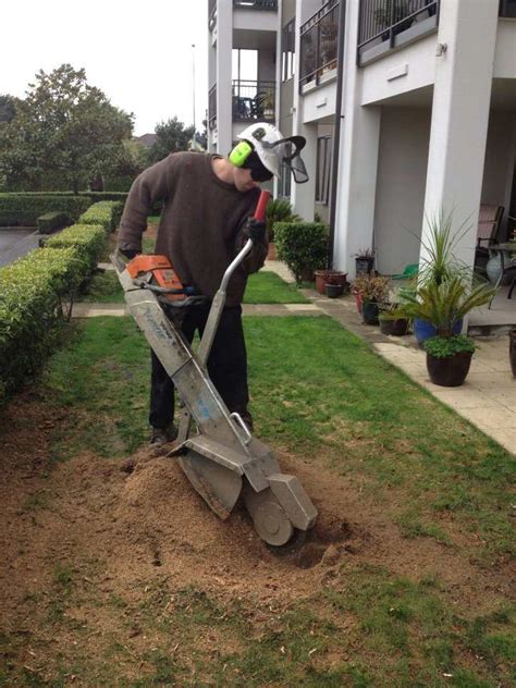 Mix a 50/50 solution of. Tree Stump Removal - 6 ways to get rid of tree stumps ...