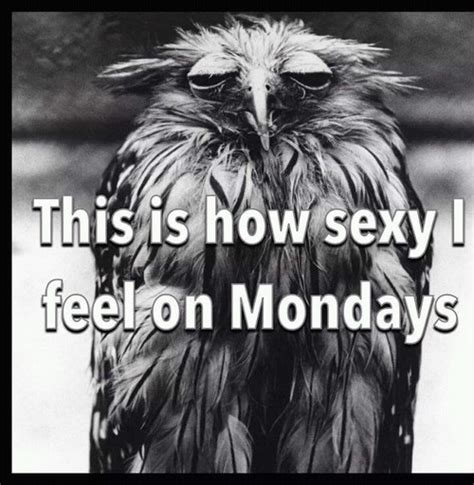 How Sexy I Feel On Mondays Pictures Photos And Images For Facebook