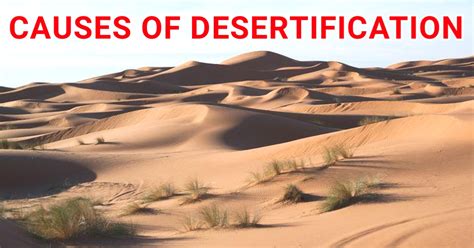 What Is Desertification Definition Causes Effects And Cure
