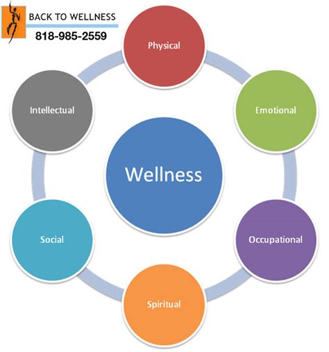 Holistic Center Of Back To Wellness Physical Therapy Los Angeles
