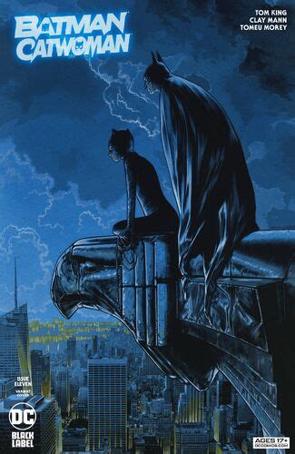 Batmancatwoman Vol 1 11 Dc Database Fandom