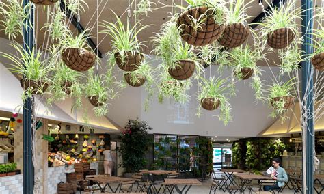 Creá tu cuenta ingresá mis compras. La decoración ecológica y biosaludable se extiende a ...