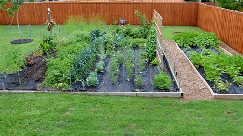 Small Garden Design Vegetables Garden Design