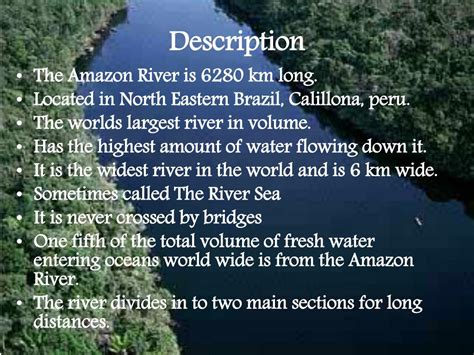 ppt the amazon river powerpoint presentation free download id 1939235