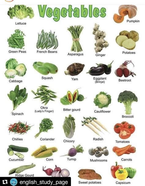 Pin By Feyza Basturk On Vocabulary Name Of Vegetables List Of