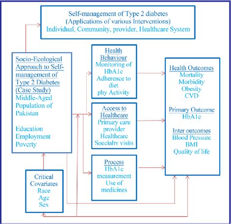 Conceptual Framework Of Self Management Of Type 2 Diabetes Download