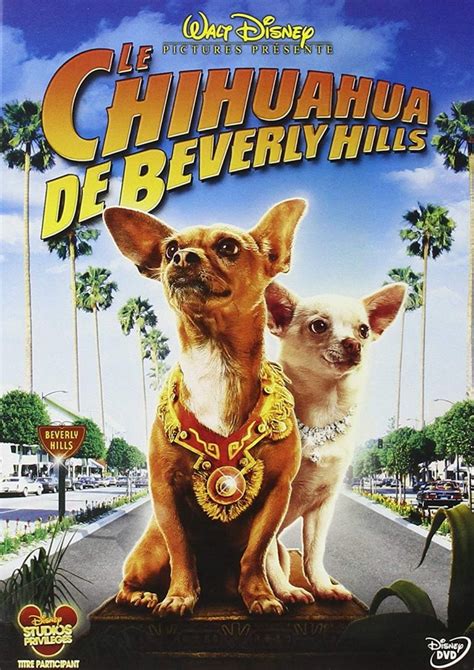 49 Beverly Hills Chihuahua Games Pic Bleumoonproductions