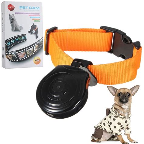 Get your pet a personalised collar from custom pet collars, your pets name & your phone number laser engraved on the buckle for added piece of mind. Hot Dogs Cats Puppy Digital Black Pets Collar Cam Camera ...