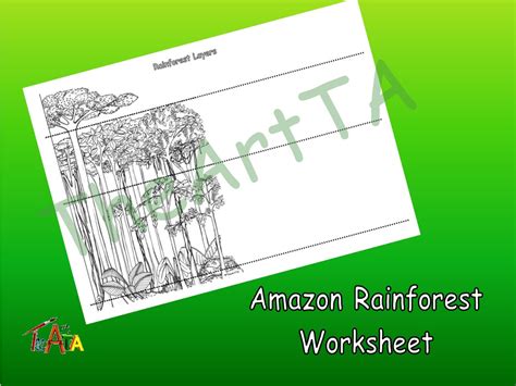 Rainforest Layers Worksheet Amazon Teaching Resources