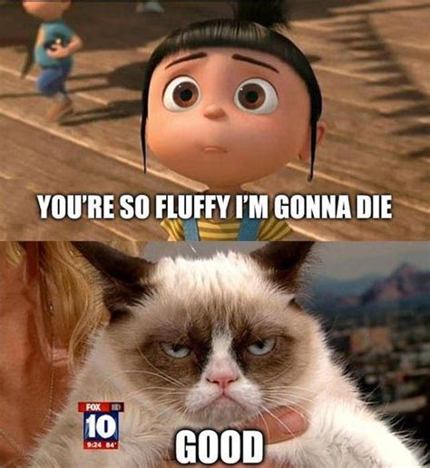 Top 40 Funny Grumpy Cat Pictures And Quotes Quotes And Humor