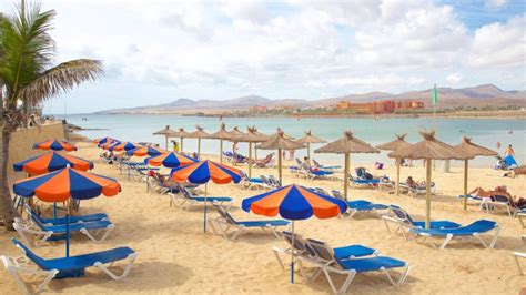 The Best Things To Do In Caleta De Fuste Fuerteventura
