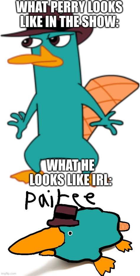 Perry The Platypus Meme Imgflip