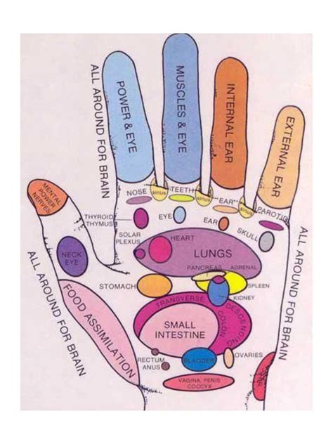 Hand Reflexology Chart Etsy Canada