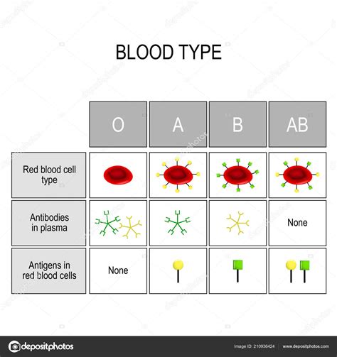 Blood Type Chart Antigens