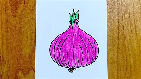 How To Draw Onion Step By Step Easy Drawing For Kids Images And