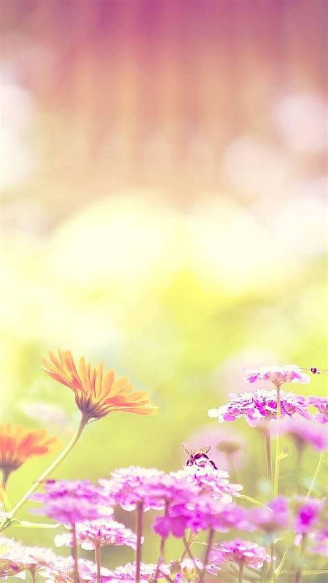 Free Download Hello Spring Wallpaper For Android 2019 Android