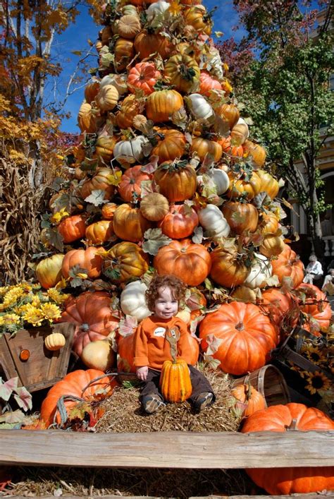 17 Best Images About Pretty Pumpkin Time And A Season Of
