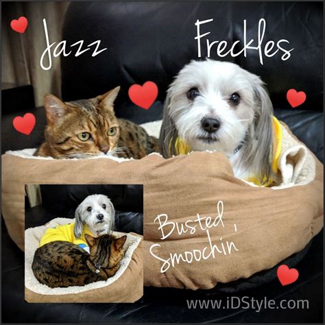 Jazz and Freckles busted smooching | Freckles, Busted 