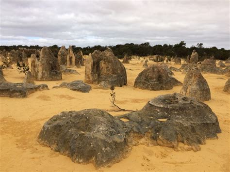 The Pinnacles Of Nambung Traveling Bytes