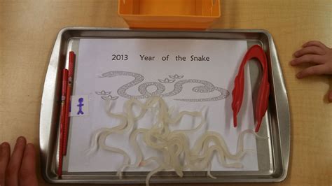 Quick Game I Made For Chinese New Year Year Of The Snake Fine Motor