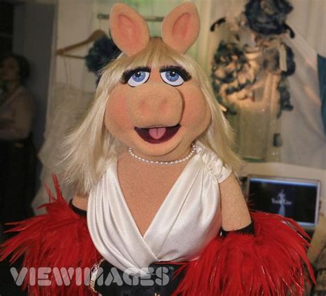 Miss Piggy The Muppets Photo Fanpop