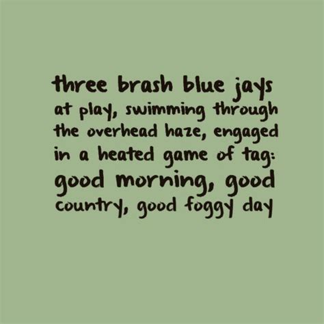 Quotes About Foggy Days Quotesgram